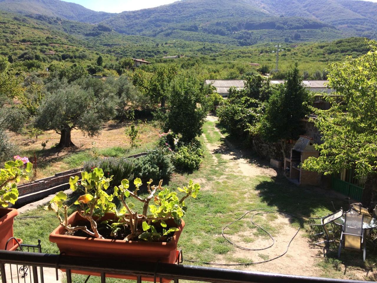 La Antigua Tahona Apartman Navaconcejo Kültér fotó